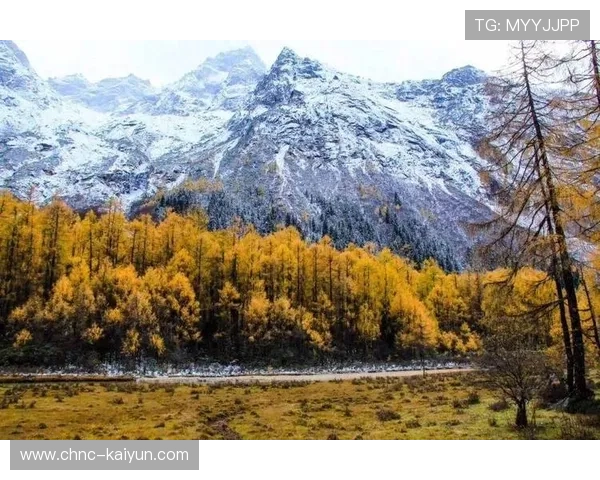 秋季高原徒步穿越，挑战自然极限，秋天徒步线路